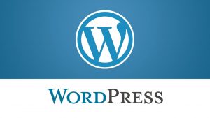 Wordpress helpdesk Nederland website ondersteuning nu nodig?
